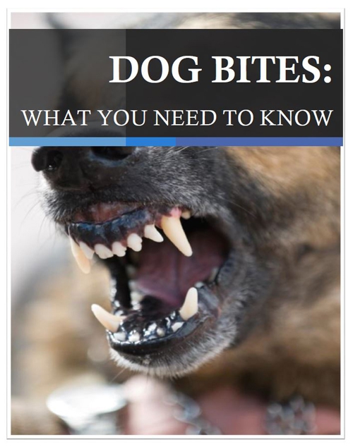 Dog Bites: What You Need to Know | Barberi Law Firm